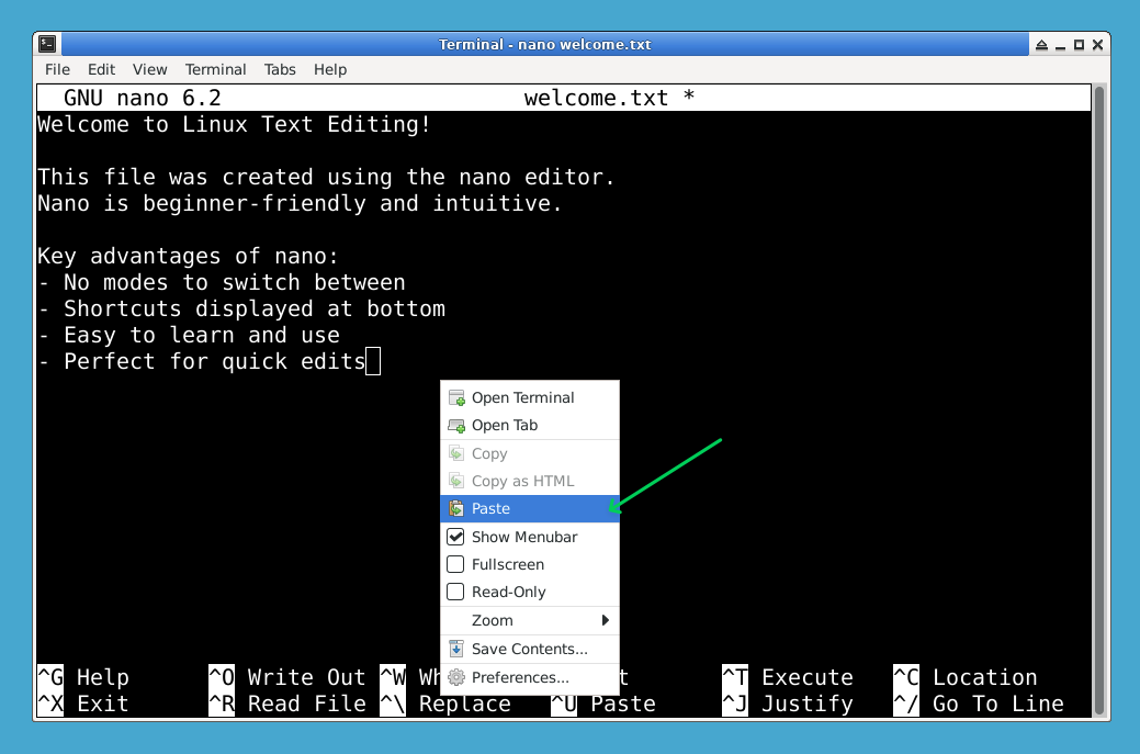 nano editor interface showing shortcuts at bottom