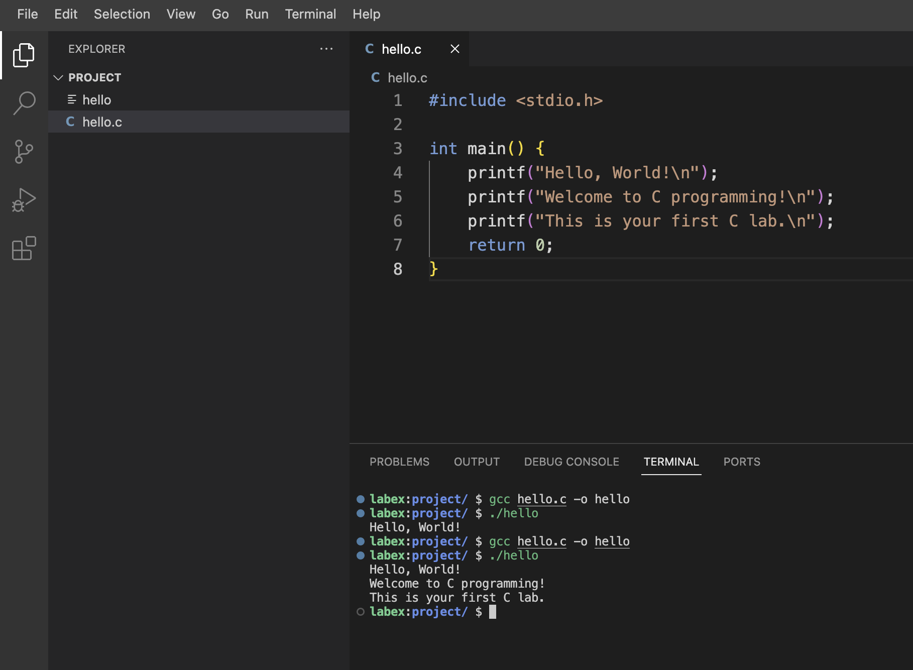 C program output screenshot