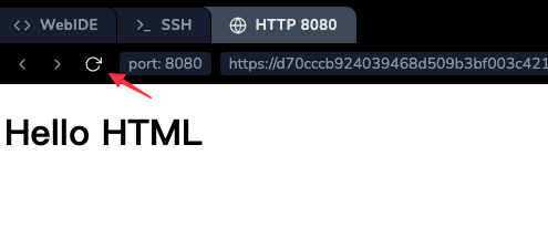 Вид вкладки Web 8080