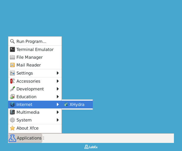 Output showing Hydra version