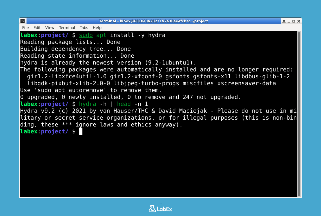 Output showing Hydra version