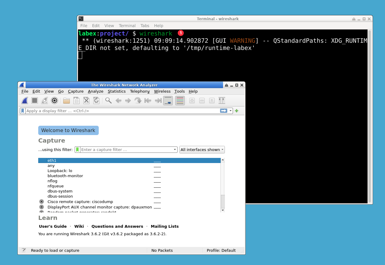 Wireshark interface selection
