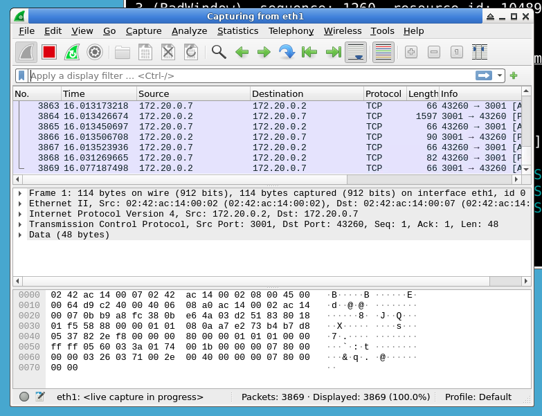 Wireshark packet capture window