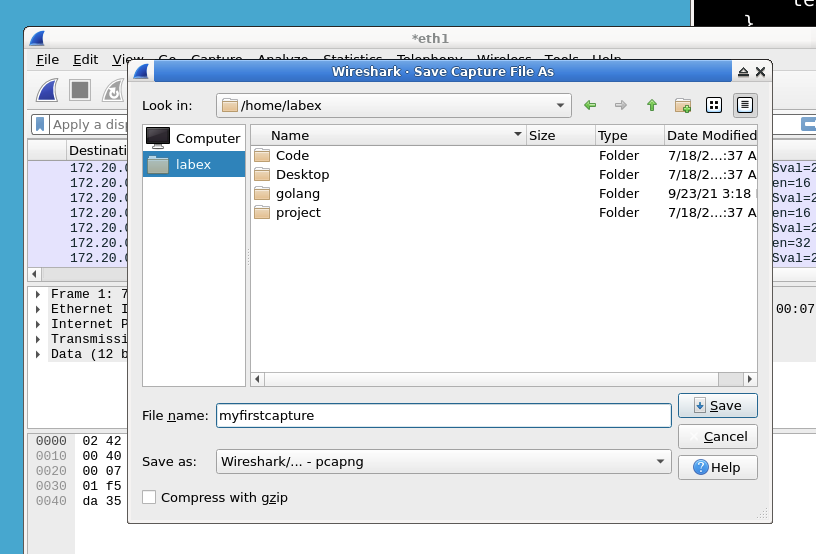 Saving network capture file
