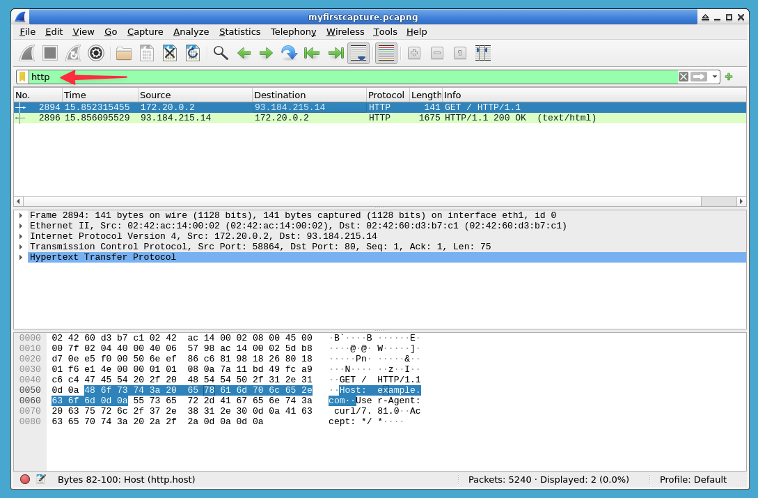 Wireshark HTTP packet filter