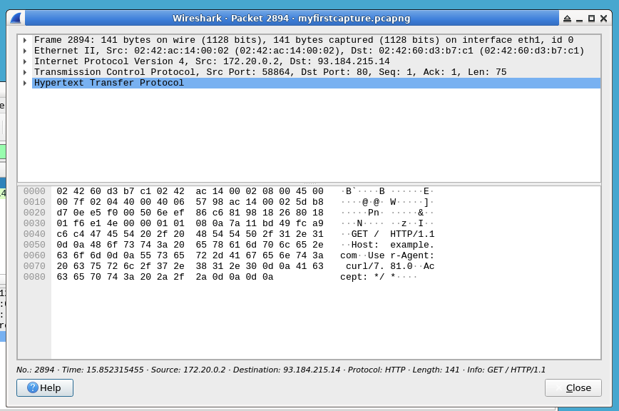 HTTP GET packet details
