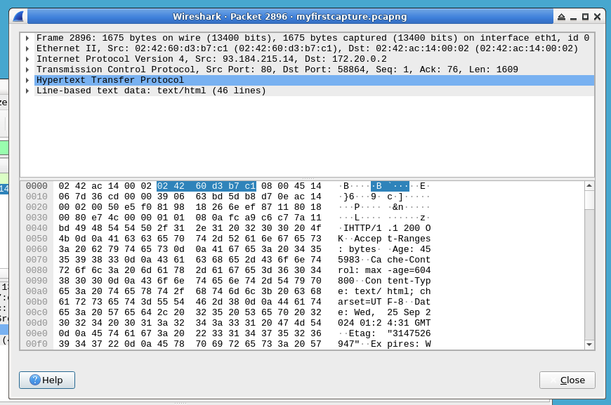 HTTP server successful response packet