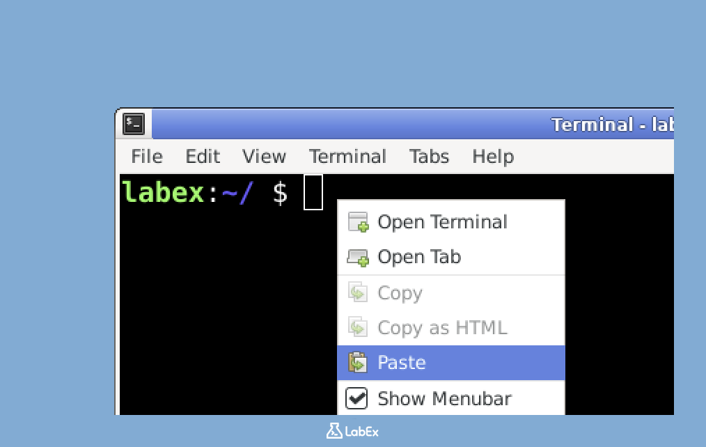 Terminal command execution screenshot