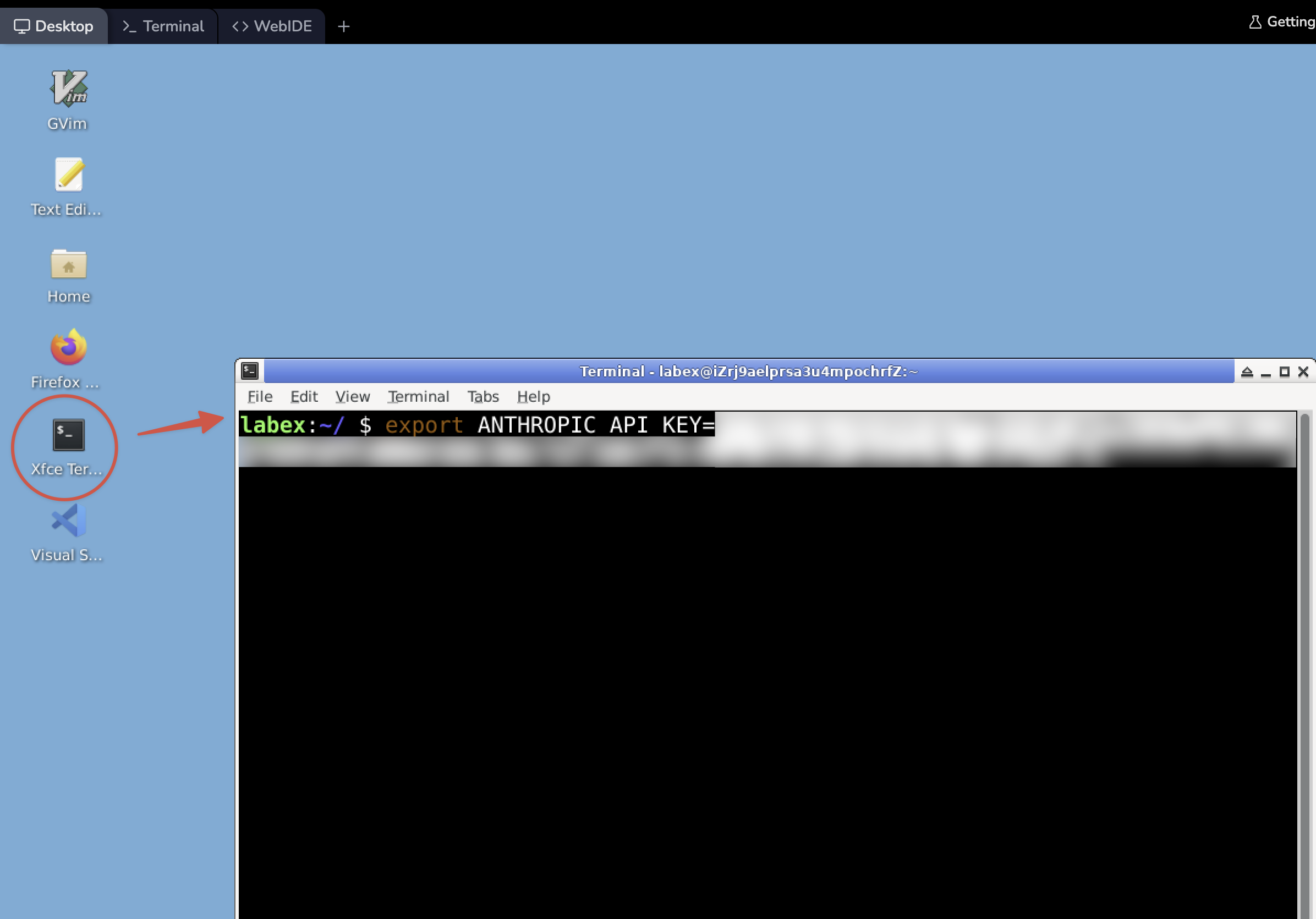 API key export command