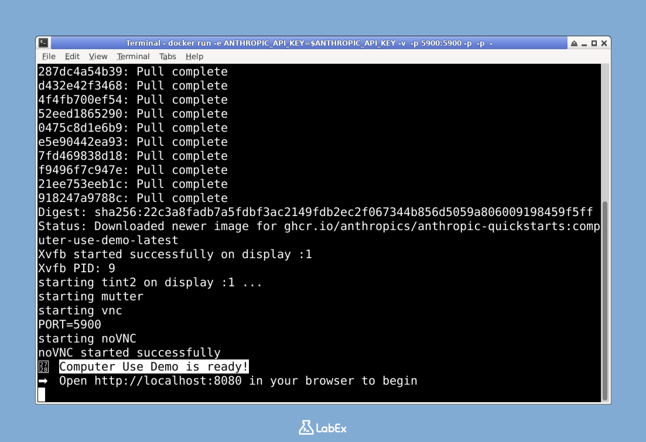 Computer Use Demo ready message