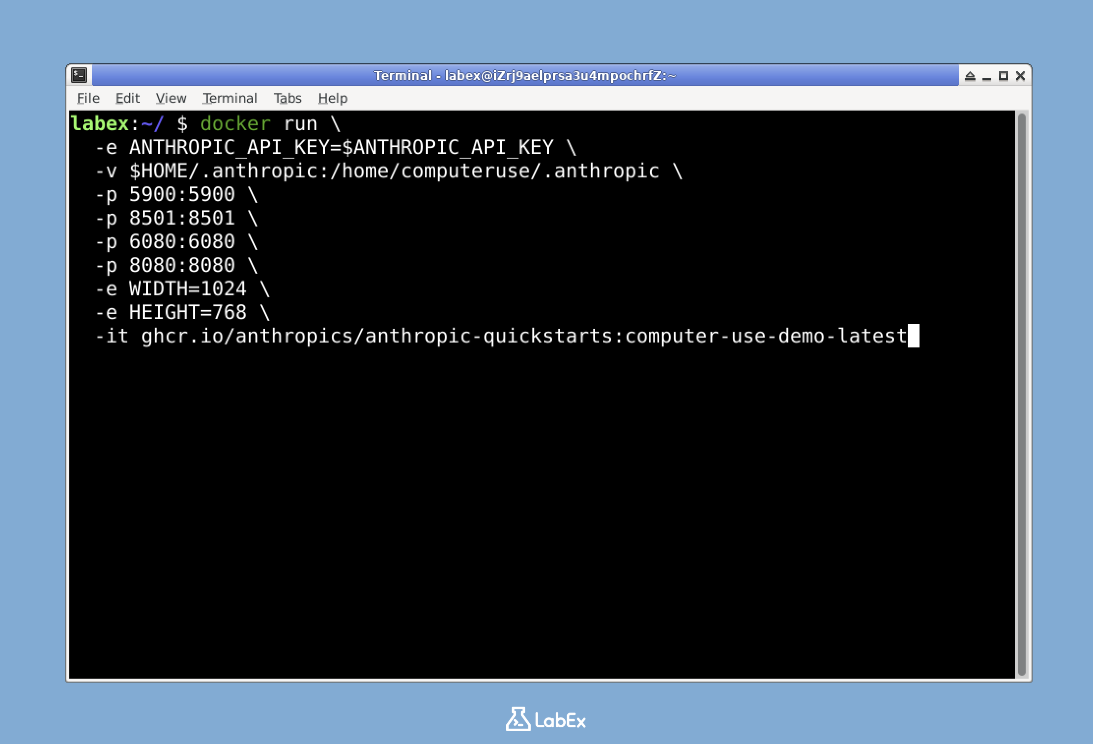 Terminal command execution screenshot