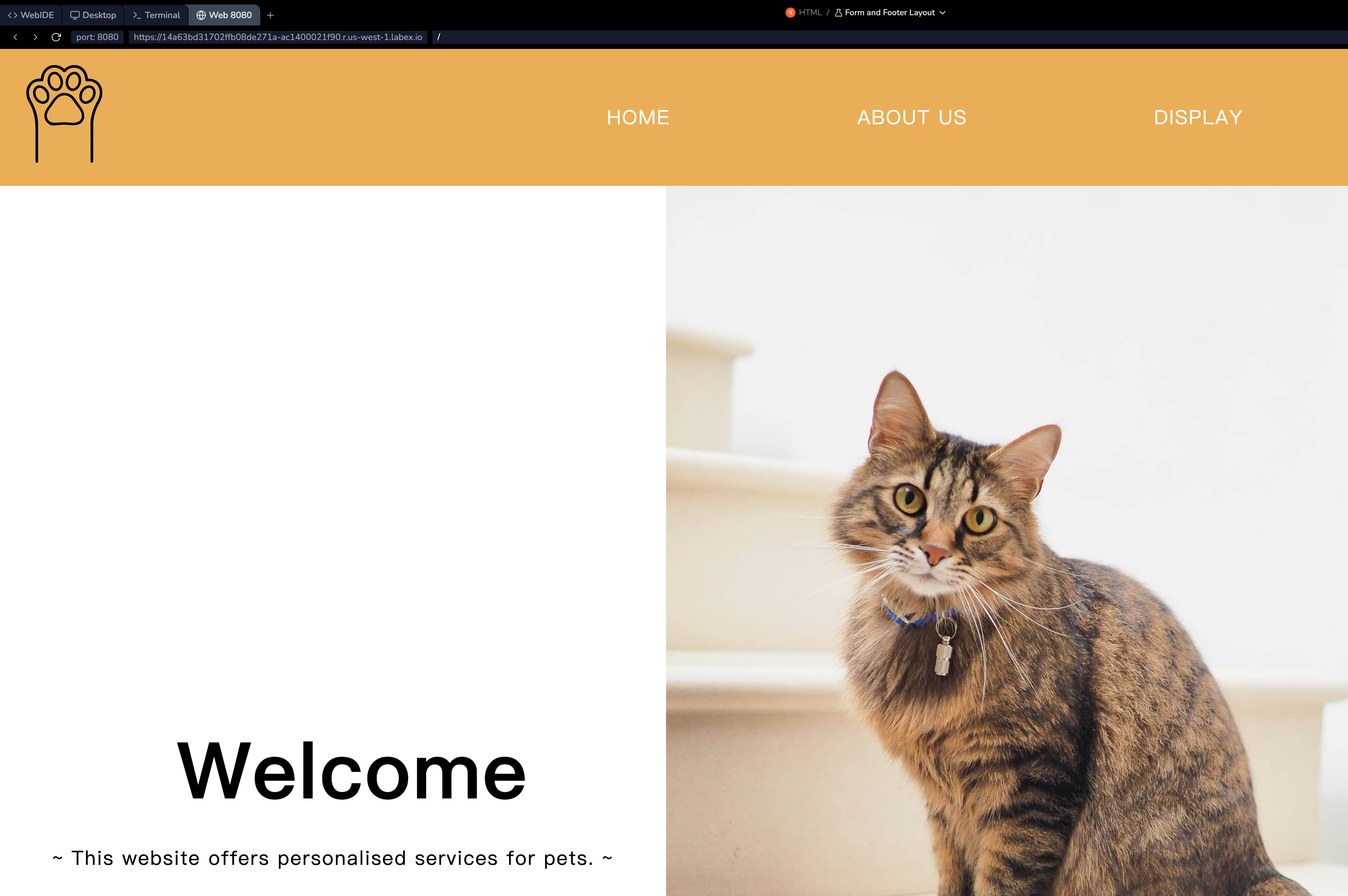 Beispiel für das HTML-Link-Element