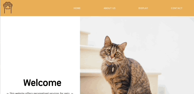 header animation example