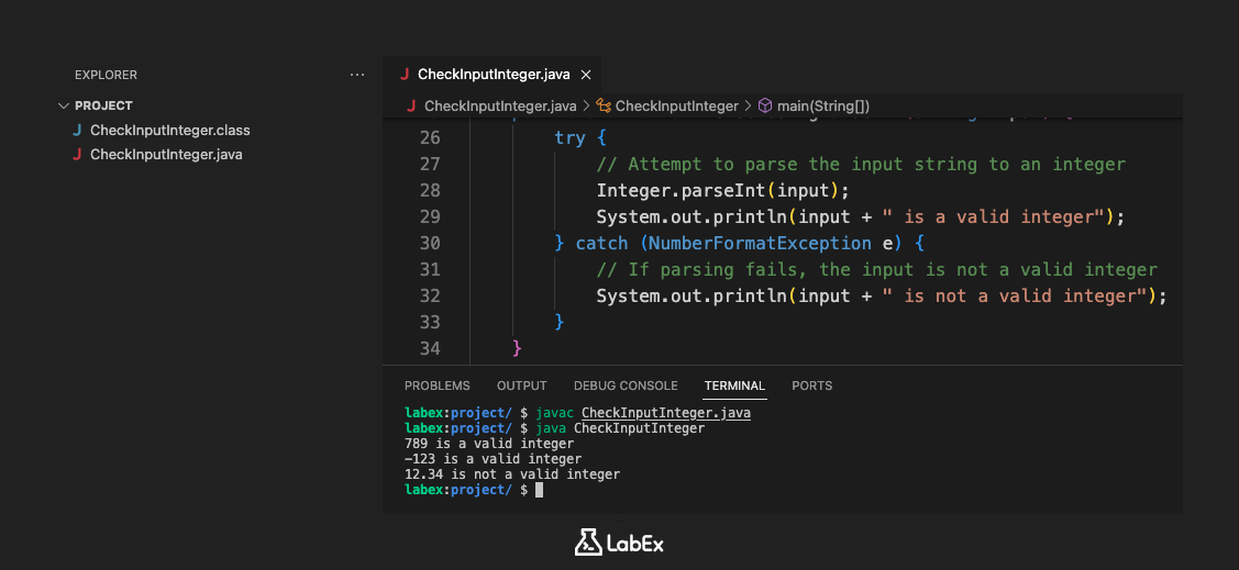 Java で入力が整数かどうかをチェックする方法 | LabEx