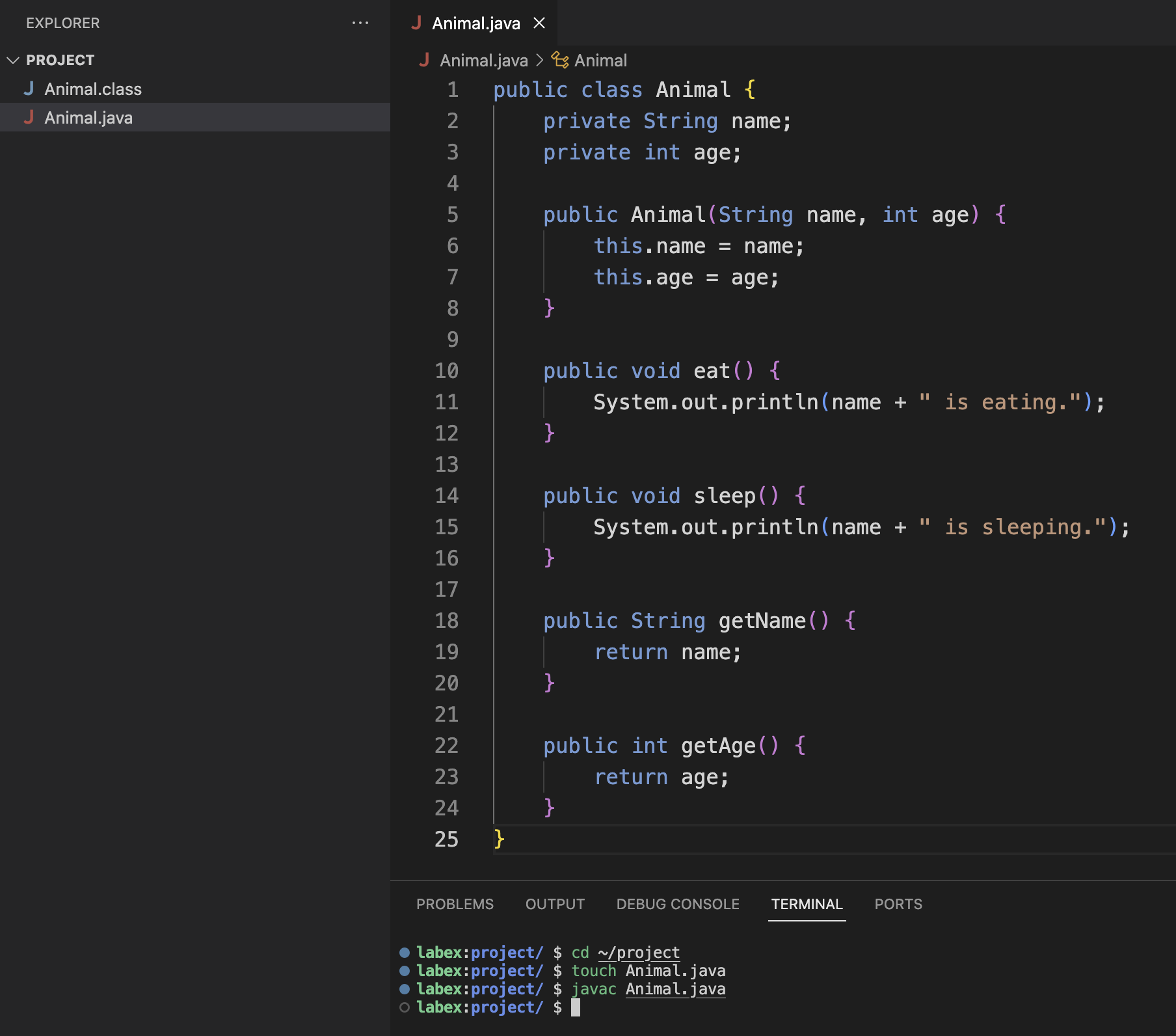 Saving Animal java file