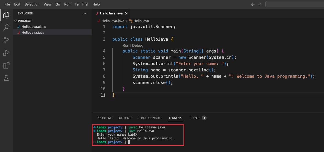 Run Modified Java Program