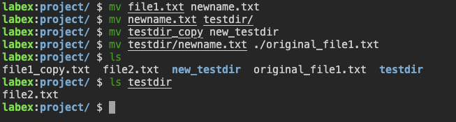 Command execution results display