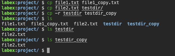 Terminal mostrando archivos copiados