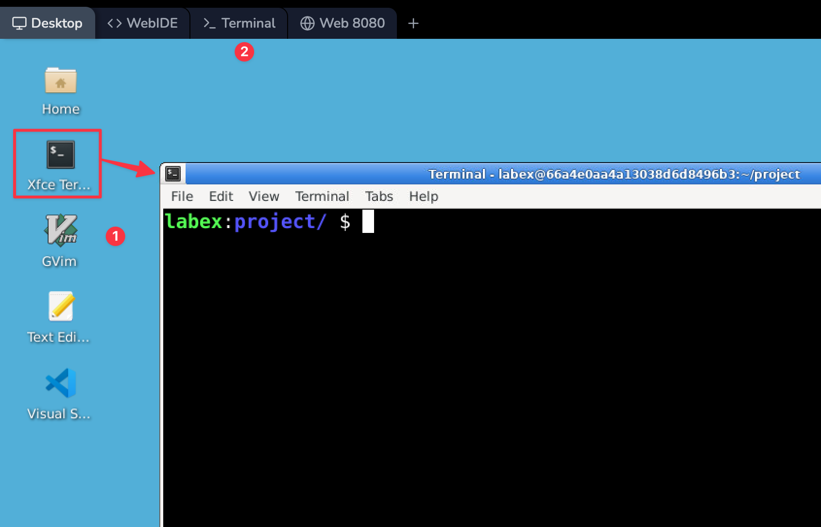 Capture d'écran de l'interface du terminal