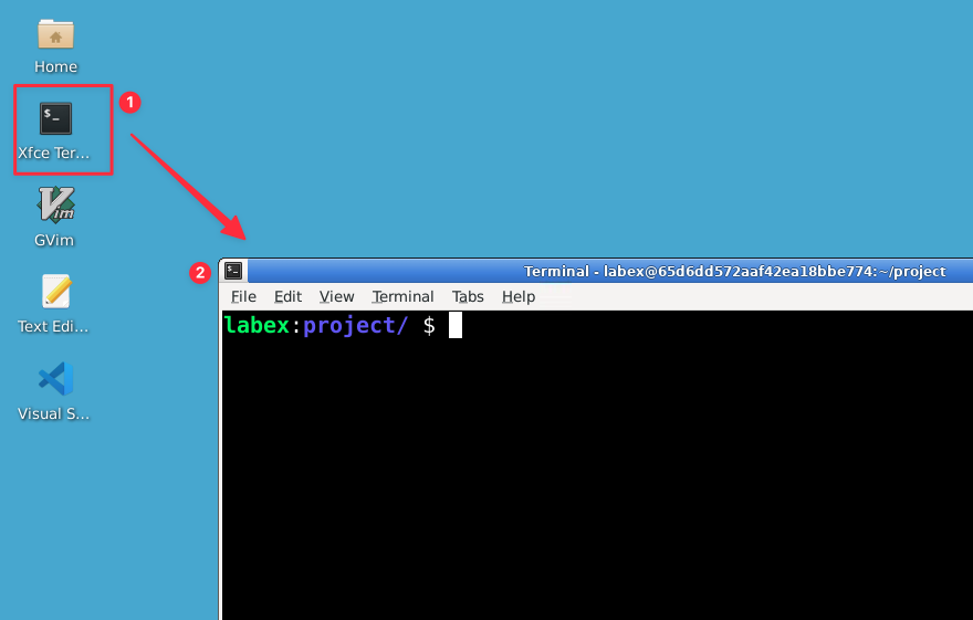 Terminal interface screenshot