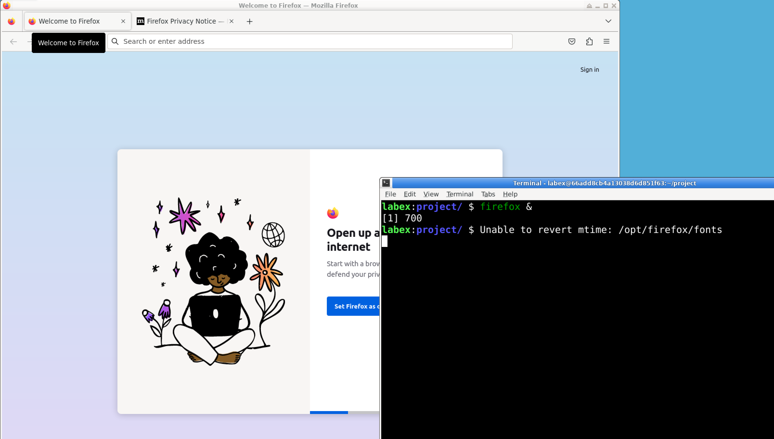 Firefox process termination example