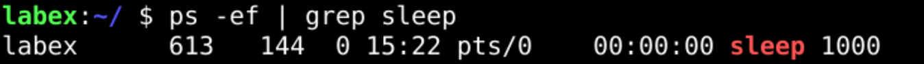Terminal showing sleep process