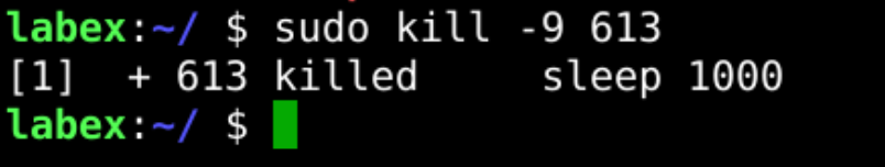 Terminating process with kill command