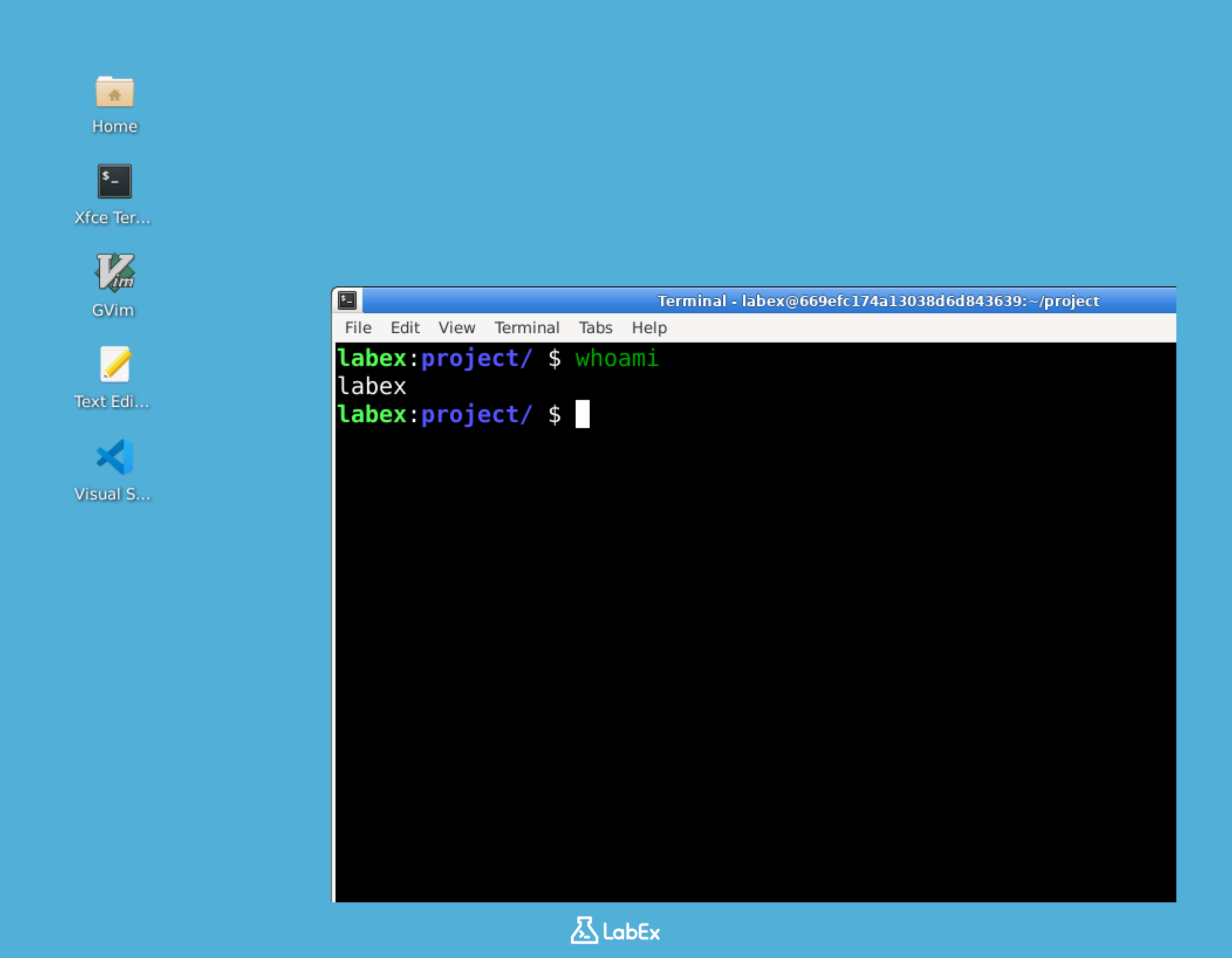 Terminal mostrando la salida de whoami