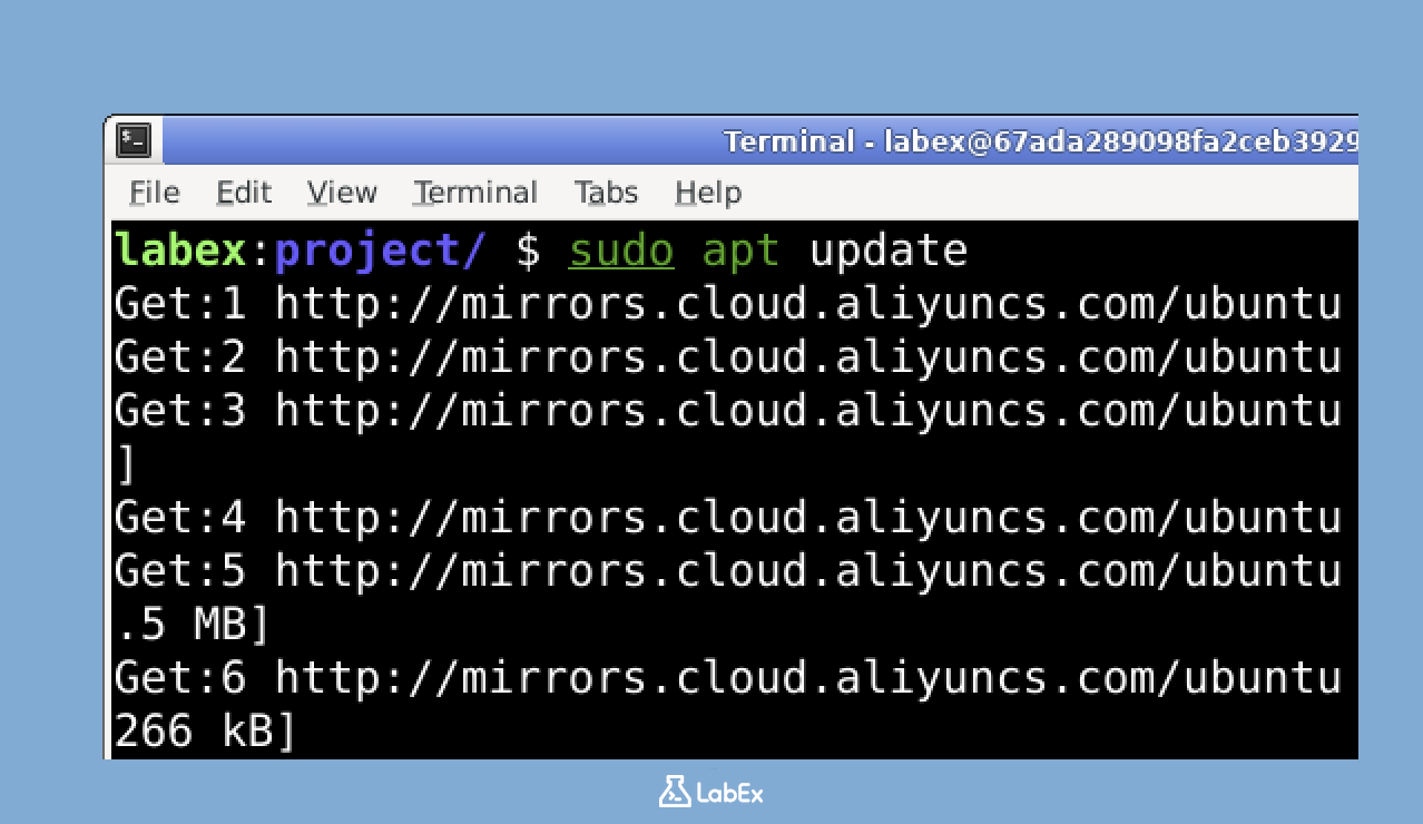 Terminal mostrando apt update