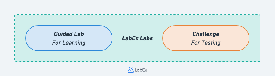 LabEx 实验
