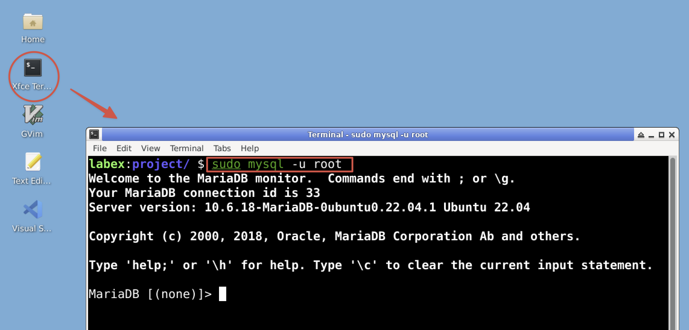 MySQL client terminal screenshot