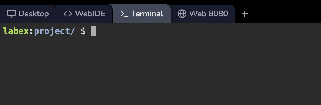MySQL web terminal interface