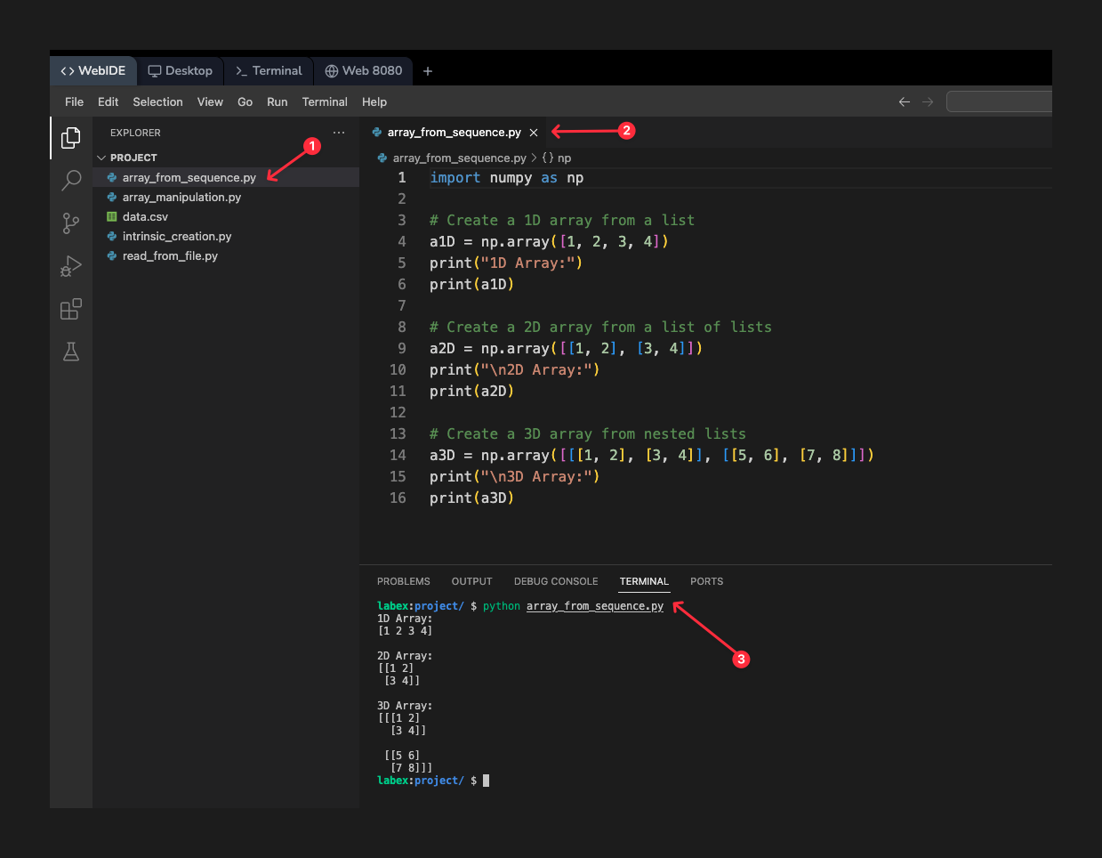 NumPy 数组创建 | Python 编程教程 | LabEx