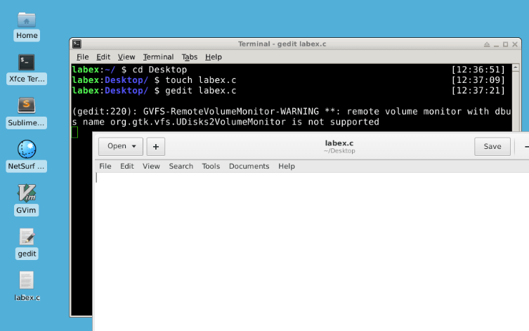 gedit-Editor öffnet die labex.c-Datei