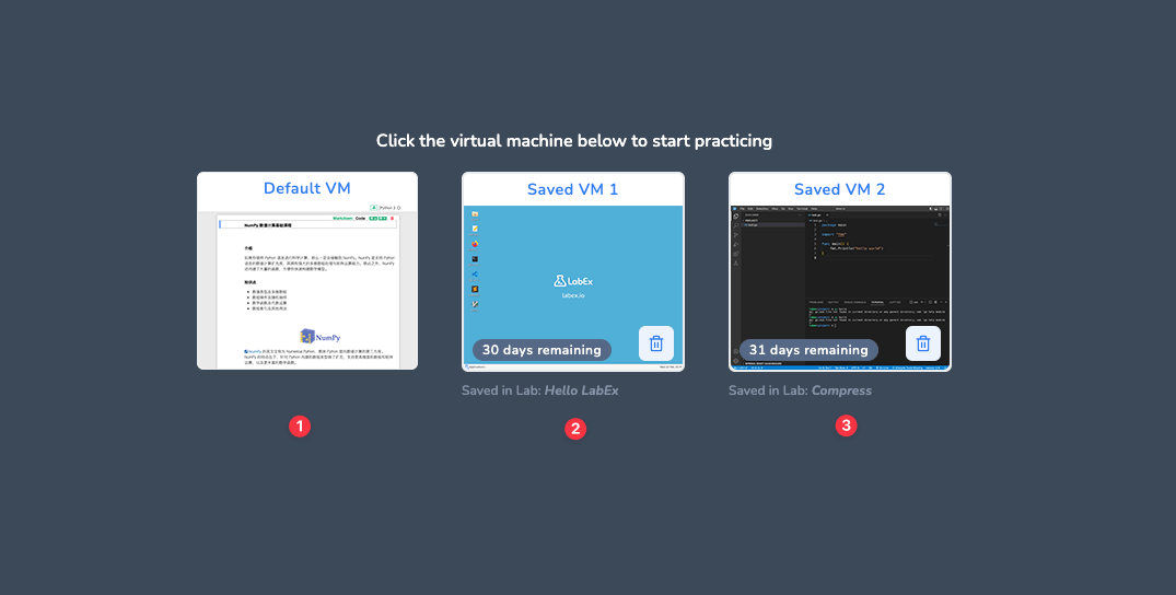 LabEx virtual environment overview