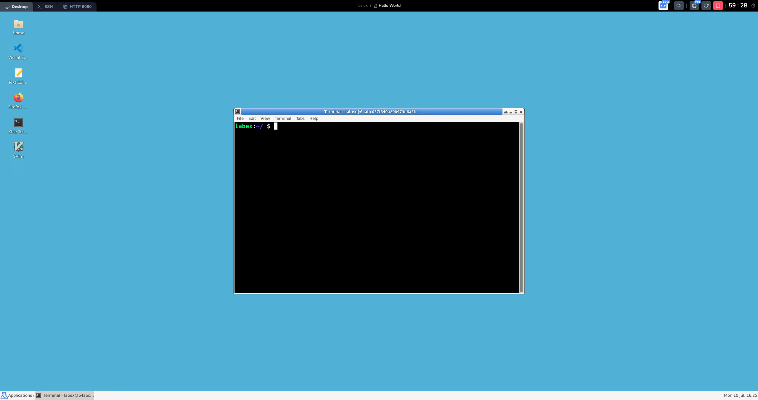 LabEx Virtual Machine インターフェイス