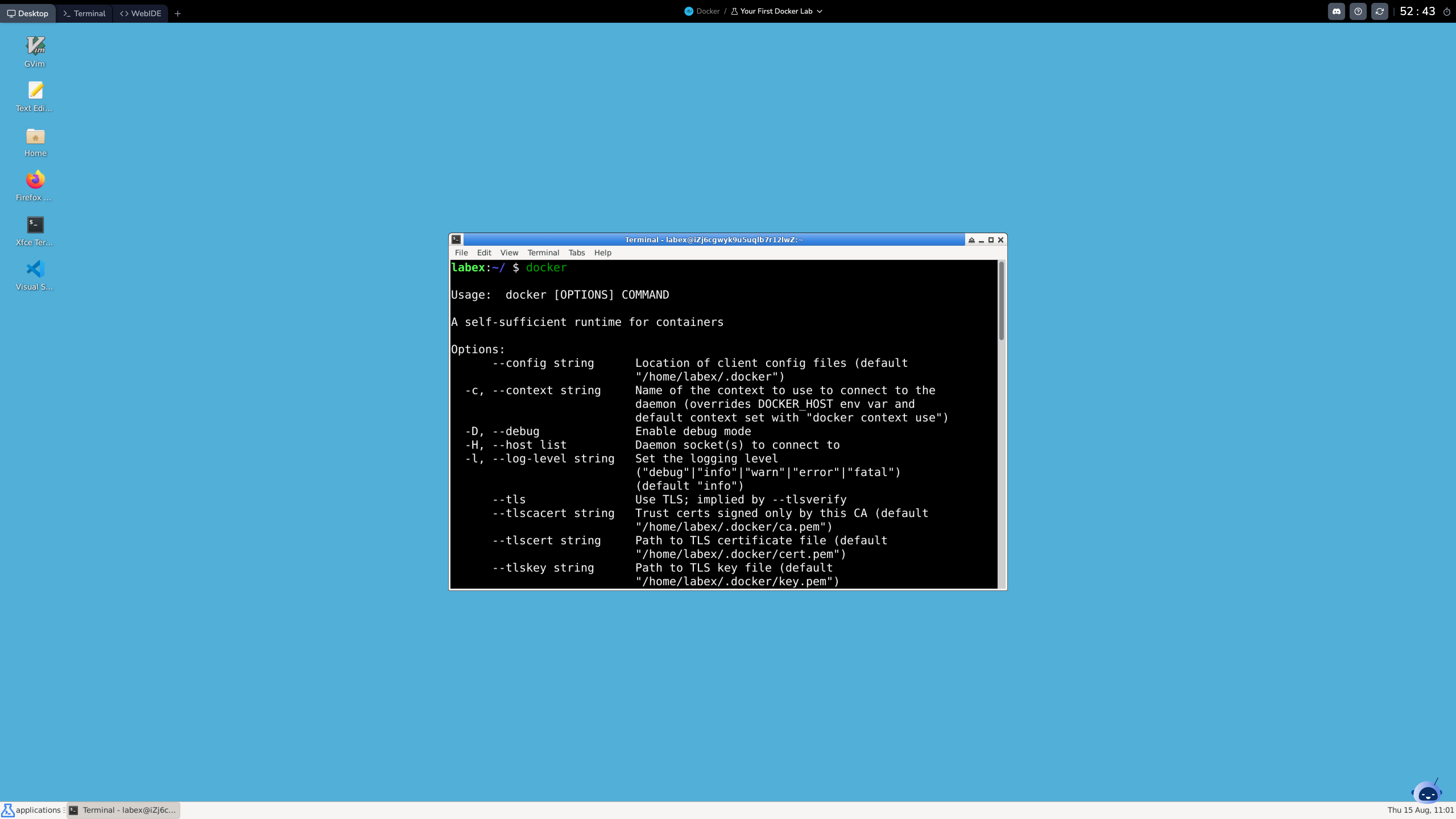LabEx Docker Playground
