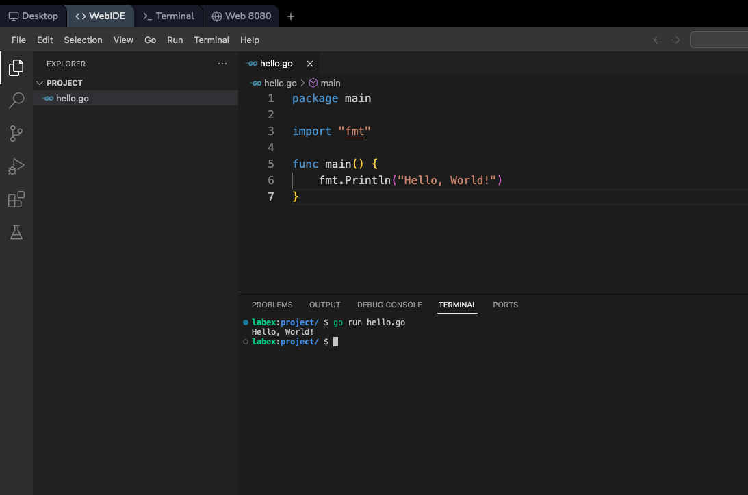 LabEx Golang Playground