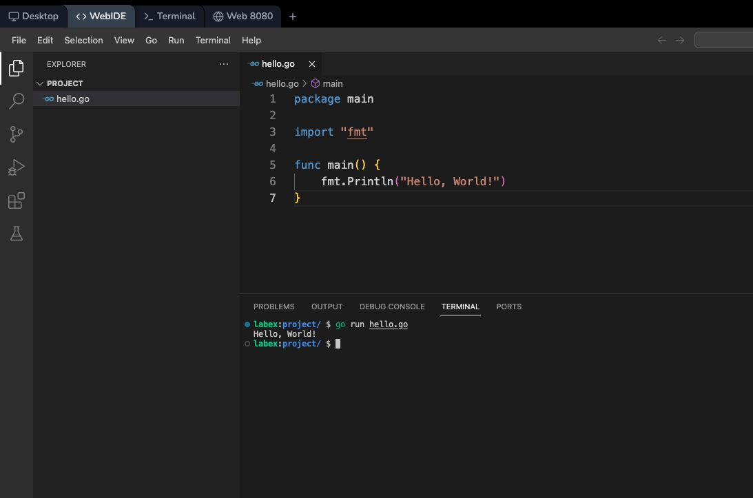 LabEx Java Playground