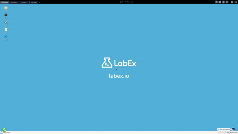 LabEx Linux Playground