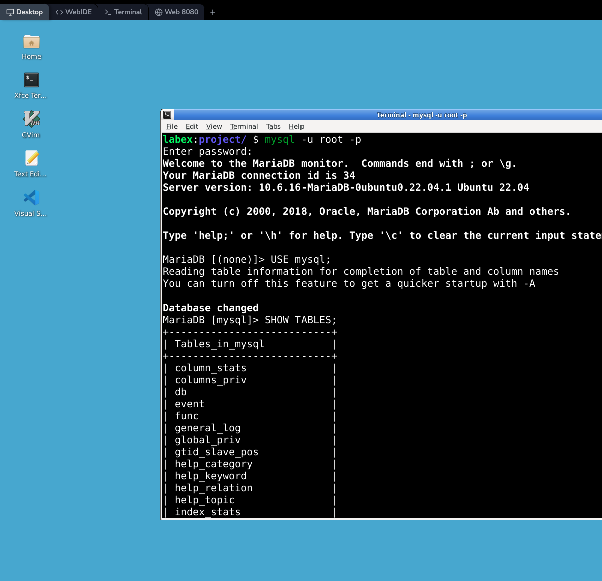 LabEx MySQL Playground