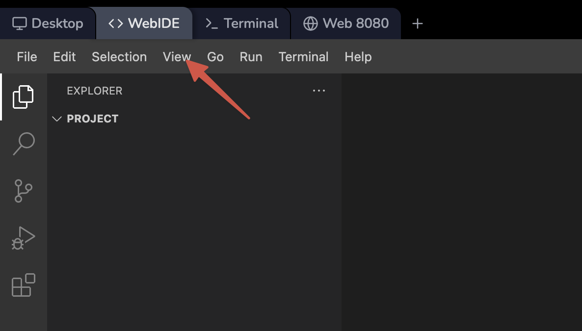 WebIDE LabEx VM interface