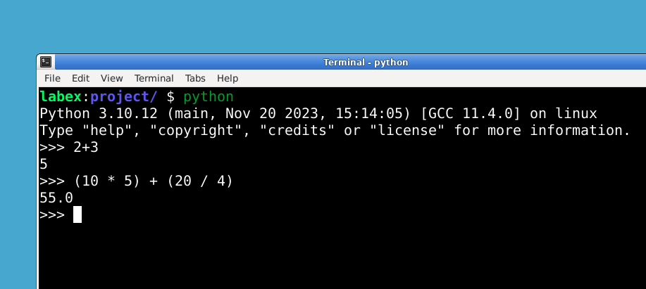 Python-Interpreter-Berechnungsergebnis