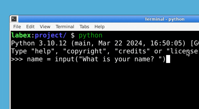 Benutzer gibt Namen in Python ein