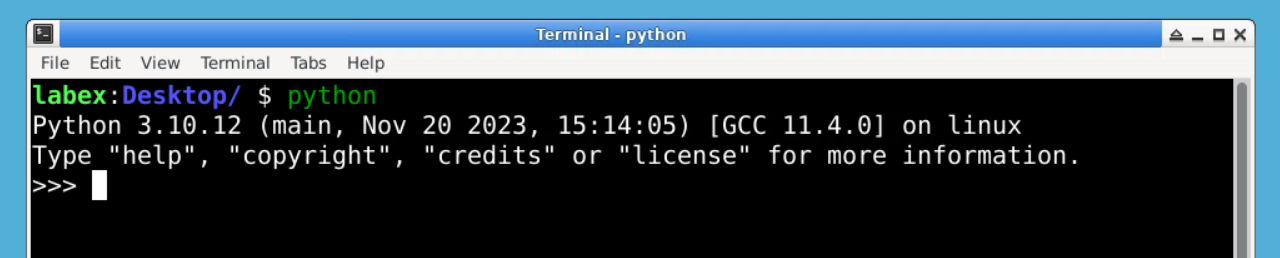 Python interpreter prompt