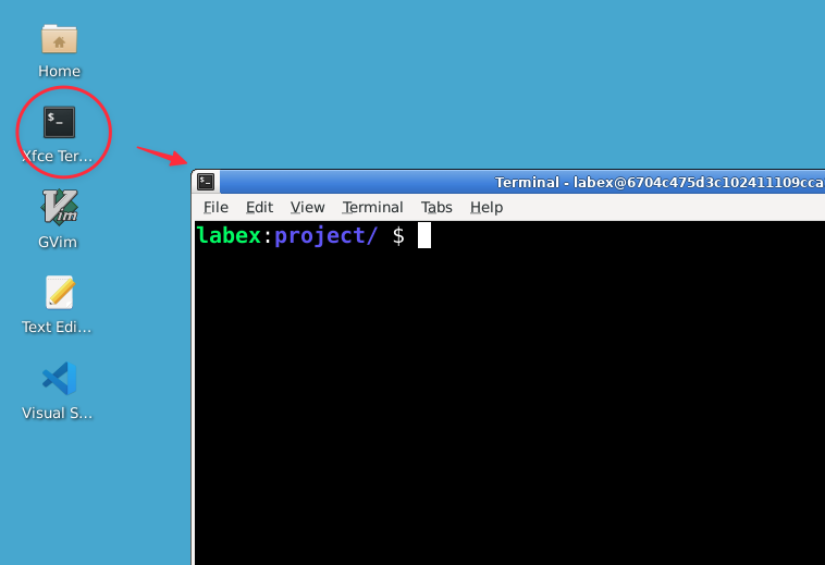 Invite de commande du terminal