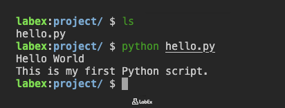 Sortie du script Python dans le terminal